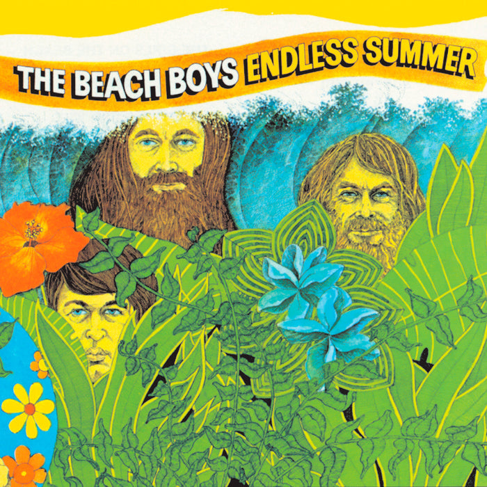 Beach Boys Endless Summer (2-LP)