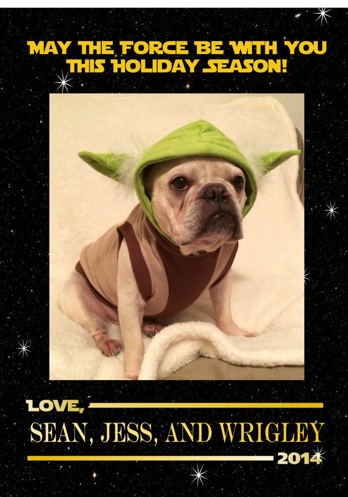 May the Force Be With You Christmas Card