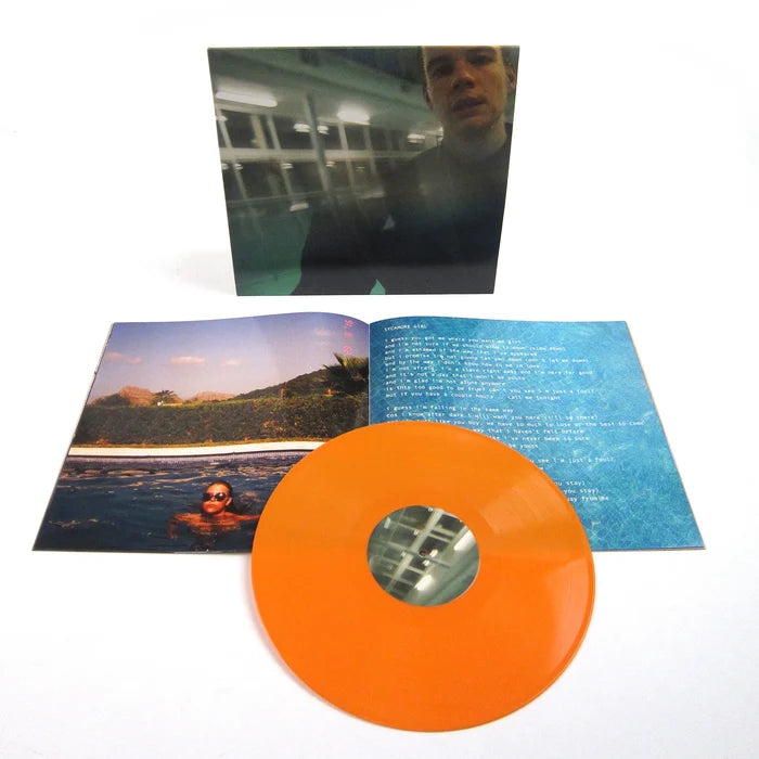 Rex Orange County Apricot Princess