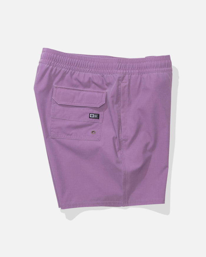 Seadog Volley - Grape